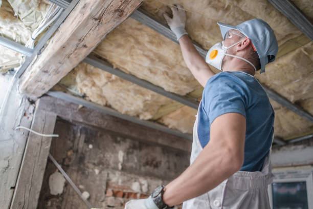 Professional Insulation Contractor in Independence, MO