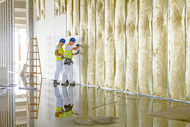 Best Cellulose Insulation in Independence, MO